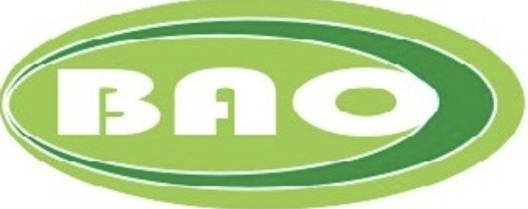 Logo buyan